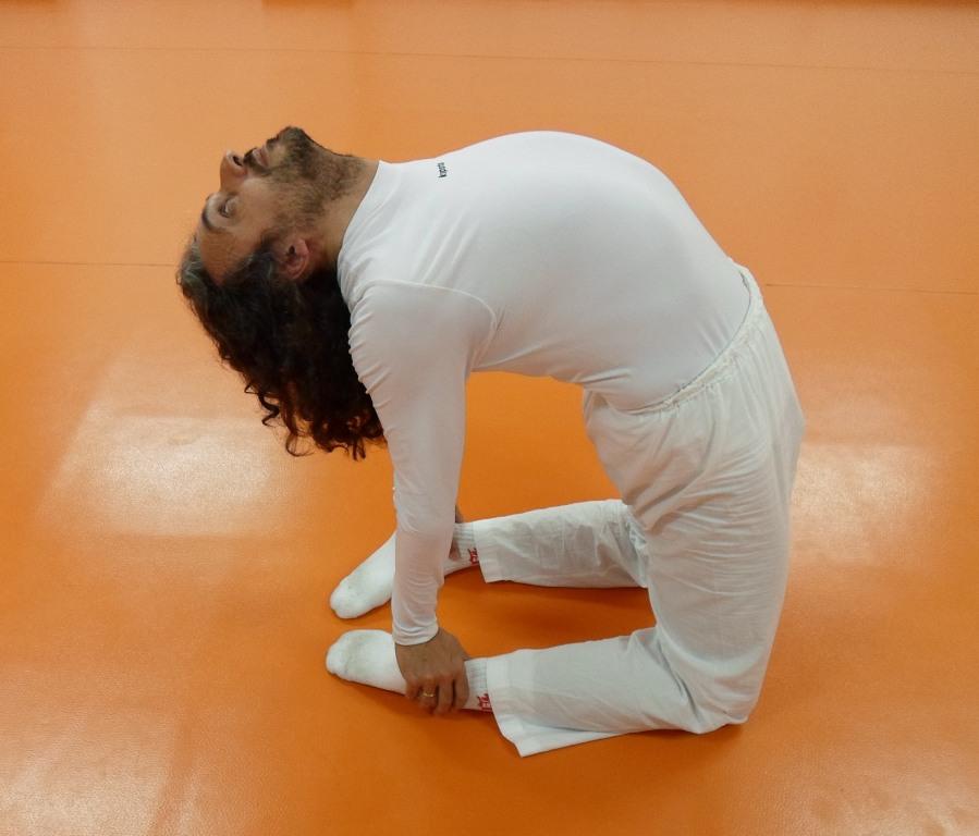 yoga camello jr